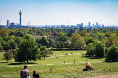 Primrose Hill