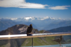 87C87B3D-1A10-43CA-85C2-DA86170EAEB3